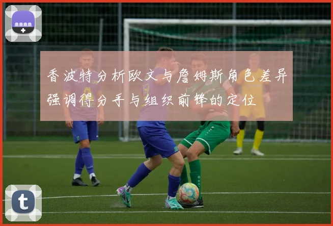 香波特分析欧文与詹姆斯角色差异强调得分手与组织前锋的定位