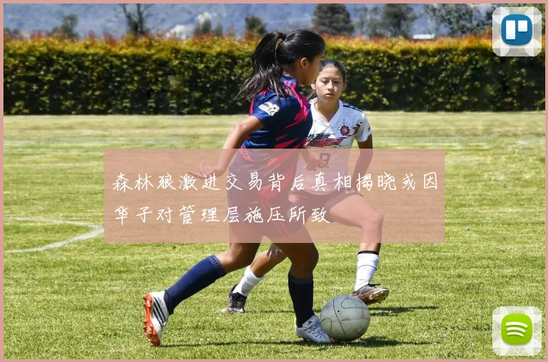 森林狼激进交易背后真相揭晓或因华子对管理层施压所致